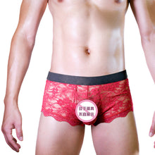 Cargar imagen en el visor de la galería, Men&#39;s Erotic Panties Lace Back Tie Transparent Mesh Low Rise Boxer Briefs
