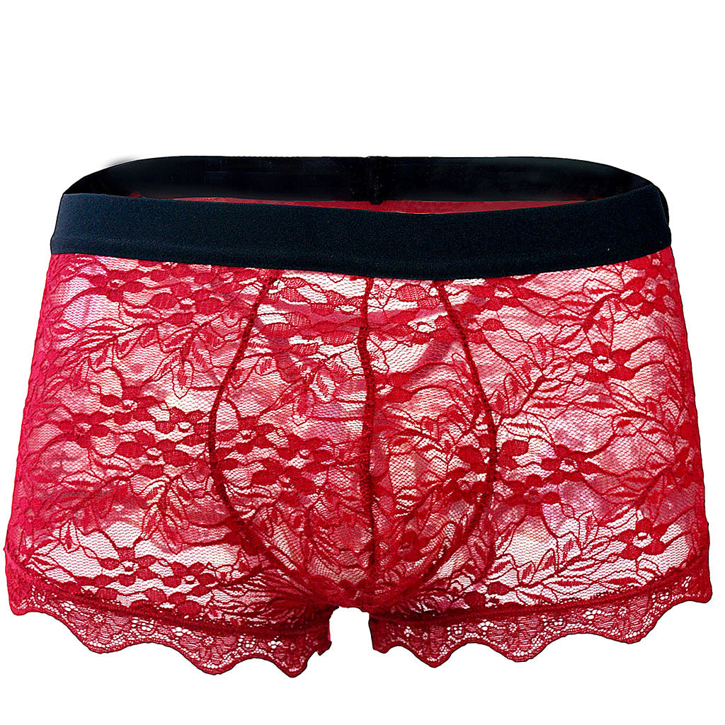 Men's Erotic Panties Lace Back Tie Transparent Mesh Low Rise Boxer Briefs